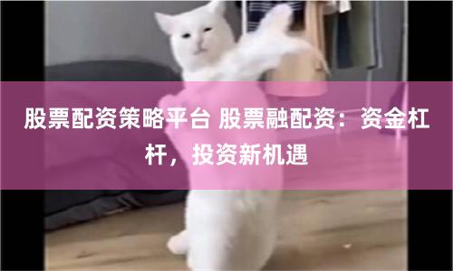 股票配资策略平台 股票融配资:资金杠杆,投资新机遇