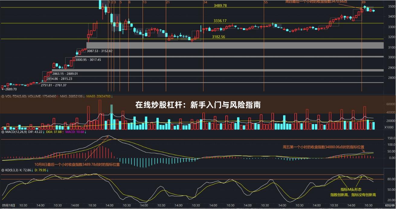 在线炒股杠杆：新手入门与风险指南